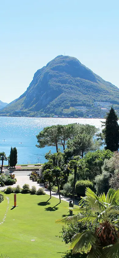 101639 Castagnola Vue Web